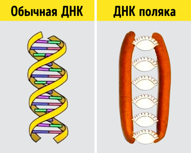 16 уїдливих фото, автори яких перетворюють набридлий стереотип національну фішку
