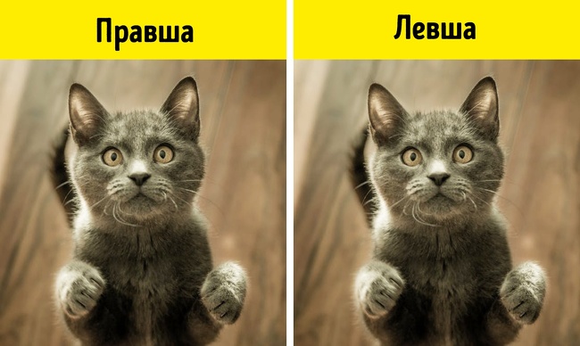 17 фактів про наш світ, які багатьох поставлять у тупик