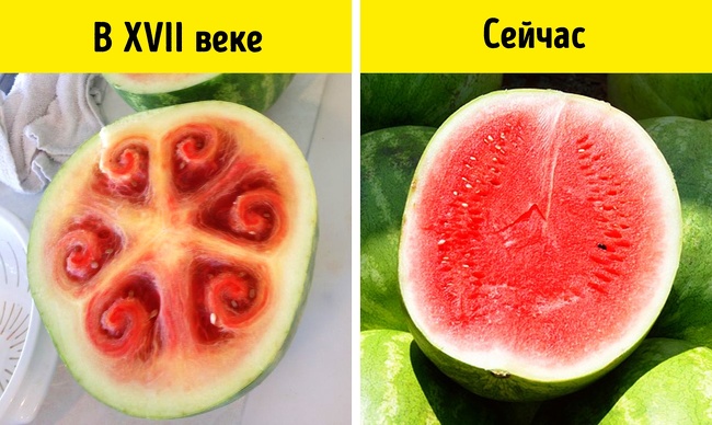 17 фактів про наш світ, які багатьох поставлять у тупик