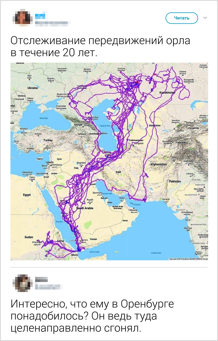 17 фото, кожне з яких може стати для вас невеличким відкриттям