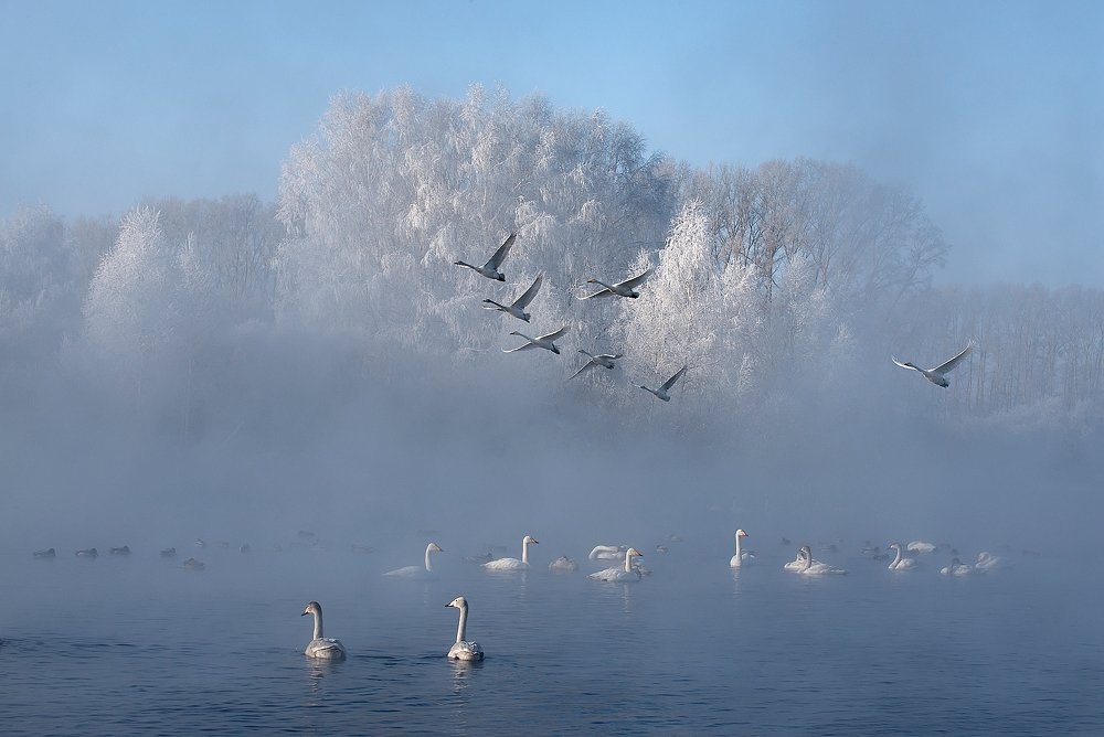 17 фотографій про те, що зима — це справжнє чарівництво