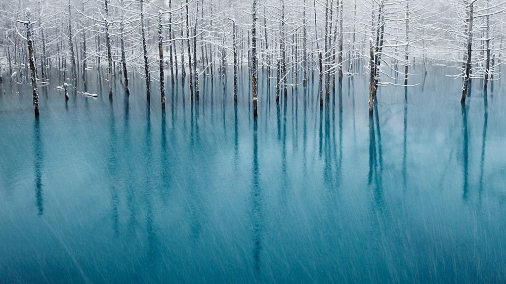 17 фотографій про те, що зима — це справжнє чарівництво