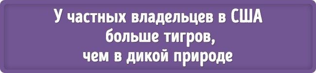 17 наукових фактів, які межують з фантастикою
