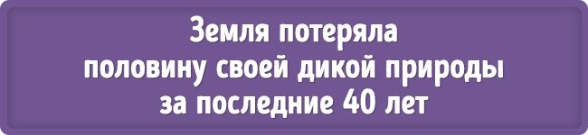 17 наукових фактів, які межують з фантастикою