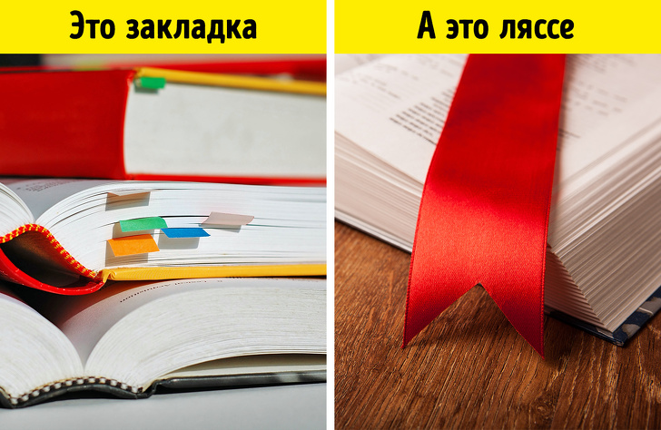 17 предметів, які називаються зовсім не так, як ми думали