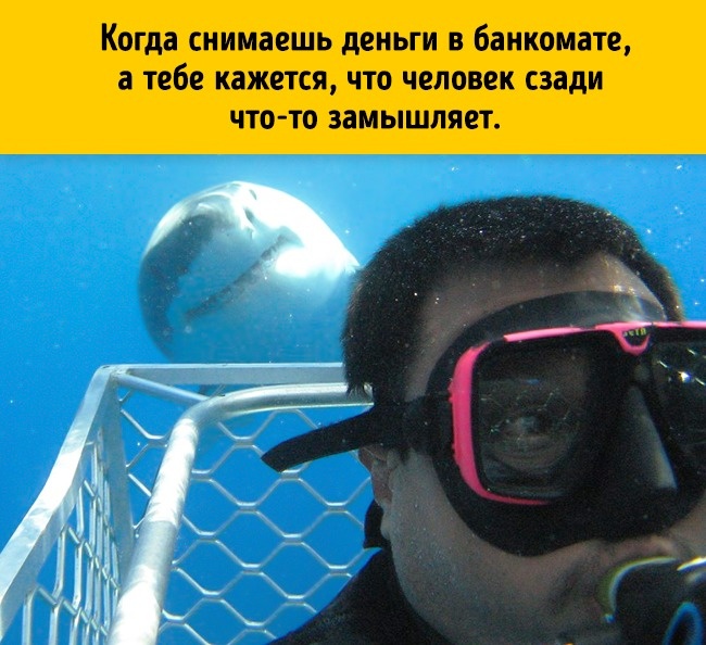 17 речей, які робить кожен, але не зізнається в цьому