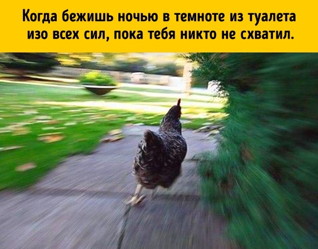17 речей, які робить кожен, але не зізнається в цьому