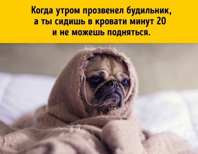 17 речей, які робить кожен, але не зізнається в цьому