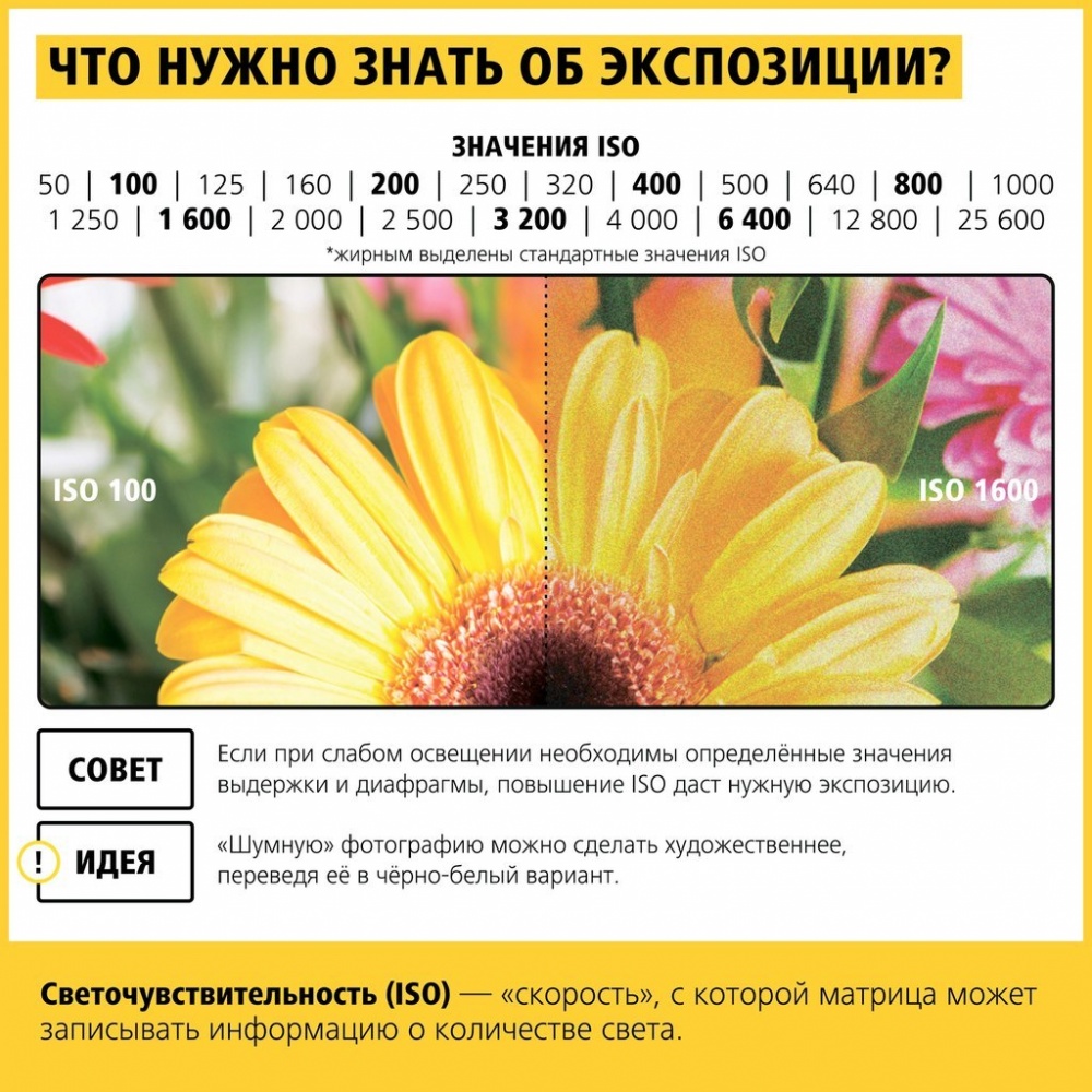 17 шпаргалок, які допоможуть робити шикарні фотографії
