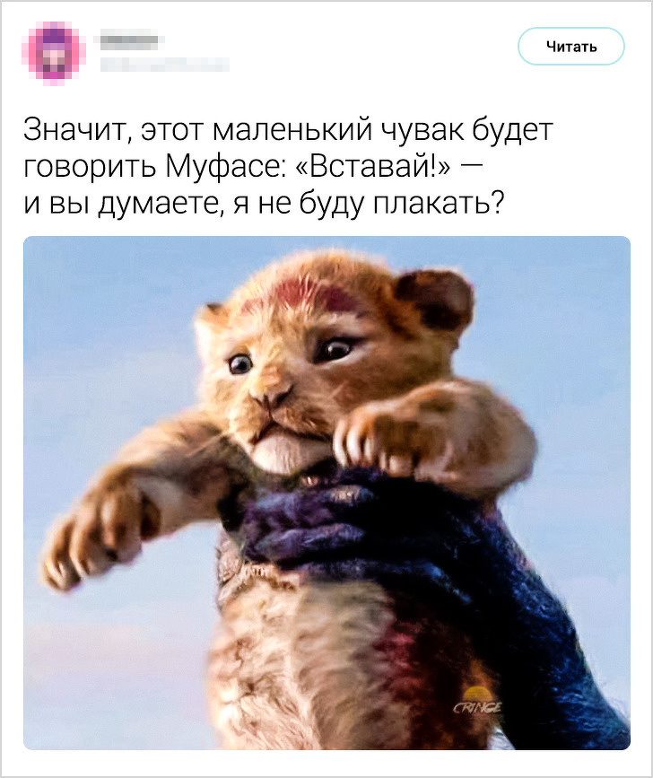 17 твітів від тих, хто дійсно зрозумів цю життя