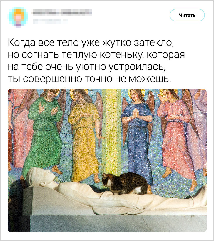 17 твітів від тих, хто дійсно зрозумів цю життя