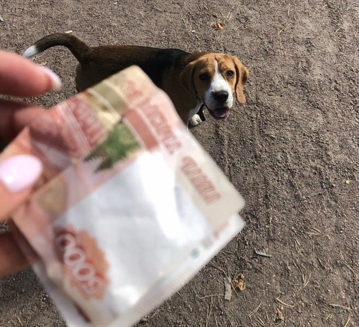 17 вихованців, які готові поборотися за звання самого доброго хлопчика місяця