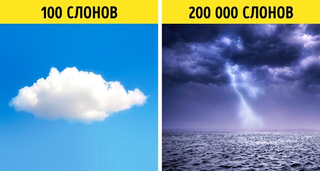 18 дивовижних фактів, які ви не зможете викинути зі своєї голови