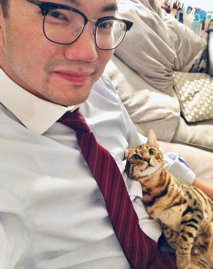 18 фото, які стрімко наблизять вас до вирішення завести кота. Ще одного