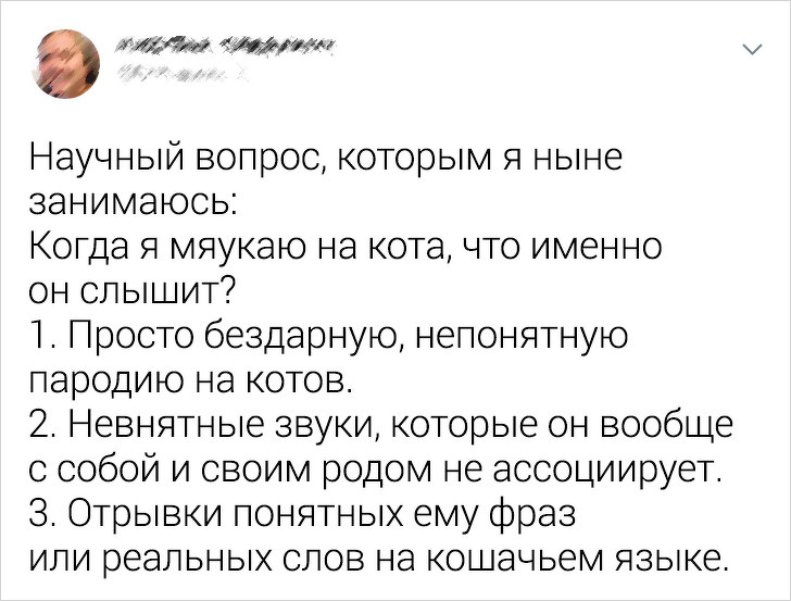 18 ситуацій, коли занадто багато питань і жодної відповіді