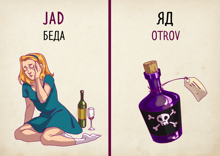 19 доказів того, що сербська мова — це російська навпаки