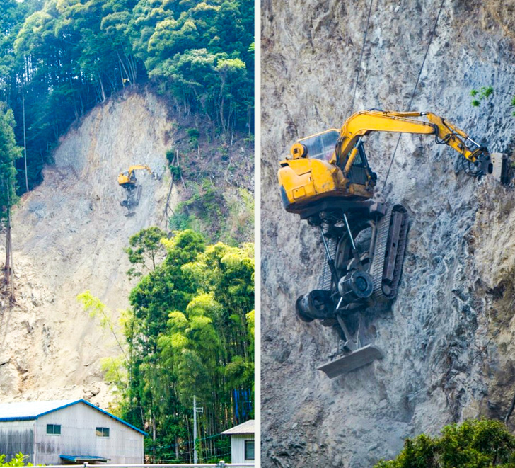 19 фото про устрій світу, на яких відбувається щось дивне