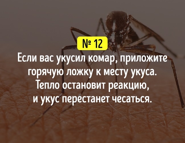 19 хитрощів на всі випадки життя, які зроблять вас краще