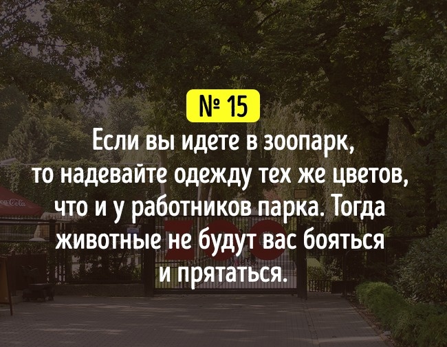 19 хитрощів на всі випадки життя, які зроблять вас краще
