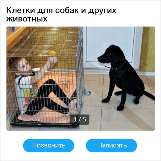 19 оголошень, автори яких відзначилися своєю дотепністю. Навіть занадто