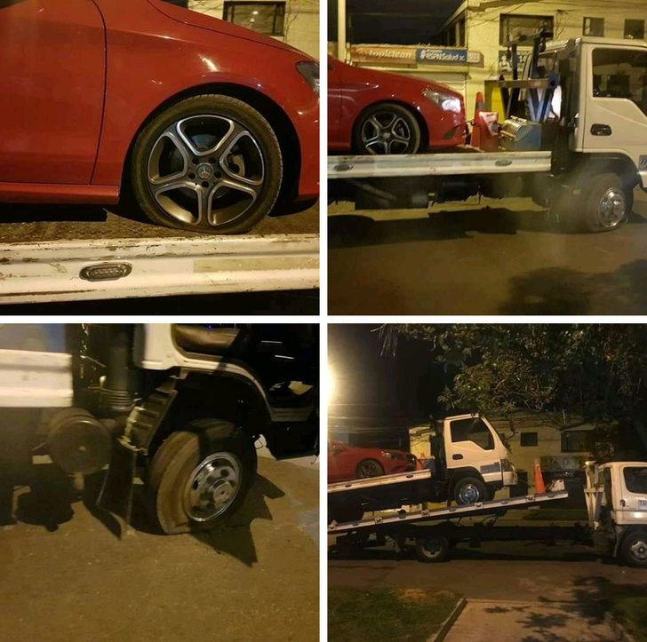 19 рідкісних знімків, що відбувається на яких навряд чи вдасться побачити наживо