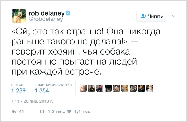 19 твітів, які зрозуміє кожен власник домашніх тварин