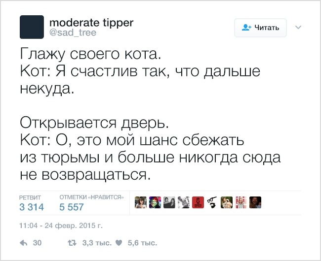 19 твітів, які зрозуміє кожен власник домашніх тварин
