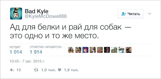 19 твітів, які зрозуміє кожен власник домашніх тварин