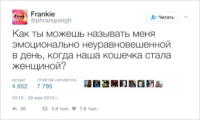 19 твітів, які зрозуміє кожен власник домашніх тварин