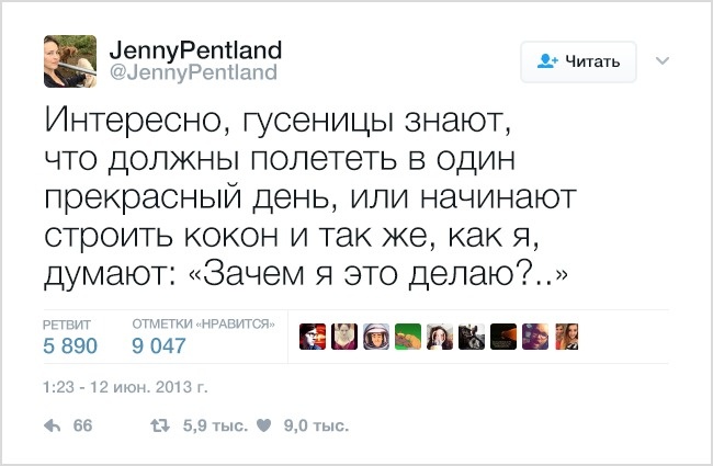 19 твітів, які зрозуміє кожен власник домашніх тварин