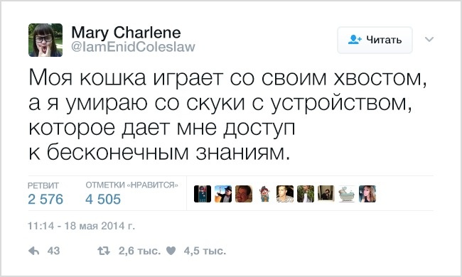 19 твітів, які зрозуміє кожен власник домашніх тварин