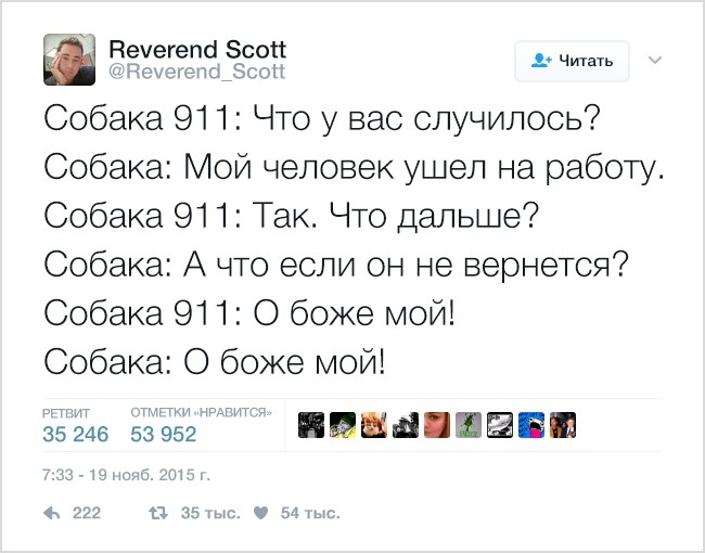 19 твітів, які зрозуміє кожен власник домашніх тварин