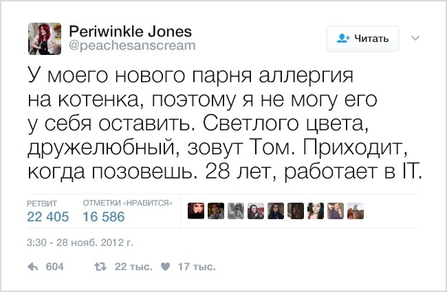 19 твітів, які зрозуміє кожен власник домашніх тварин