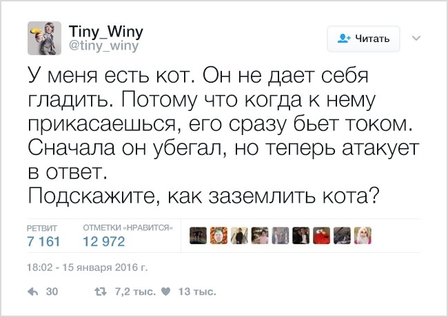 19 твітів, які зрозуміє кожен власник домашніх тварин