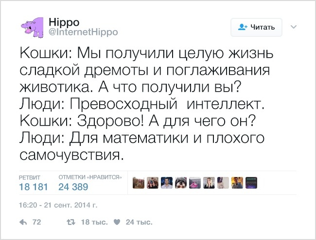 19 твітів, які зрозуміє кожен власник домашніх тварин