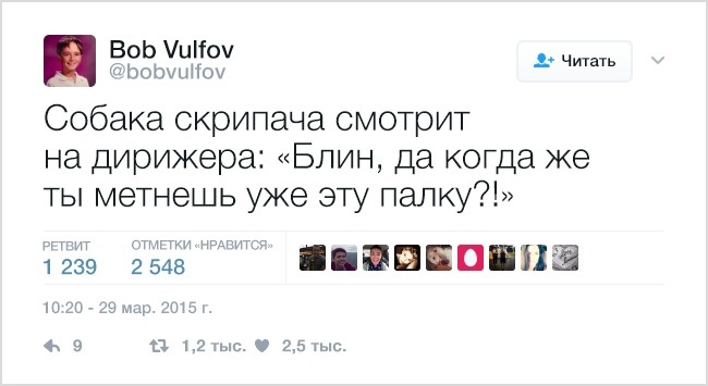 19 твітів, які зрозуміє кожен власник домашніх тварин