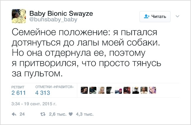 19 твітів, які зрозуміє кожен власник домашніх тварин