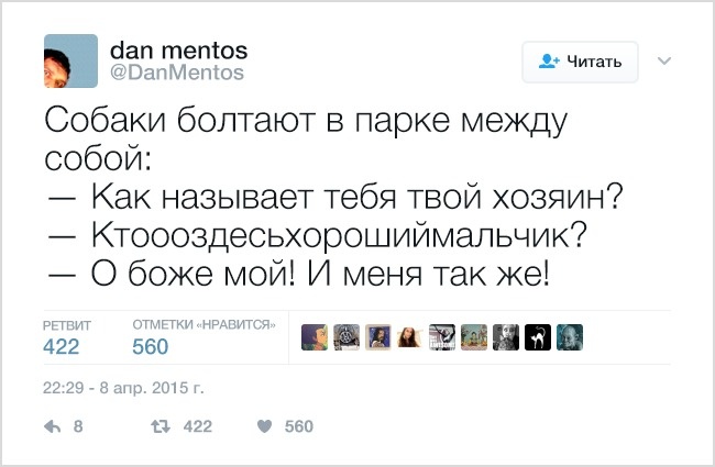 19 твітів, які зрозуміє кожен власник домашніх тварин