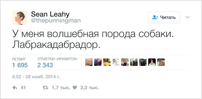 19 твітів, які зрозуміє кожен власник домашніх тварин