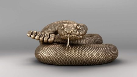 1941 – рік якої тварини? 11 фото Опис символу за східним календарем, характеристика людей і сумісність з іншими зодиаками