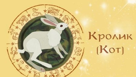 1999 – рік якої тварини? 26 фото Характеристика символу за східним календарем, опис характеру знаків зодіаку