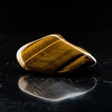 1999 – рік якої тварини? 26 фото Характеристика символу за східним календарем, опис характеру знаків зодіаку