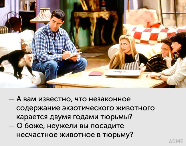 20 цитат неповторною Фібі Буффе