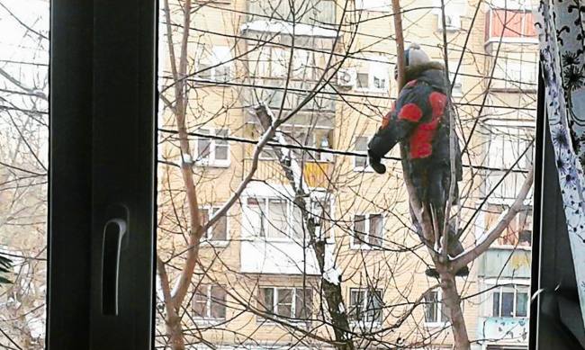 20 доказів того, що діти — це весело