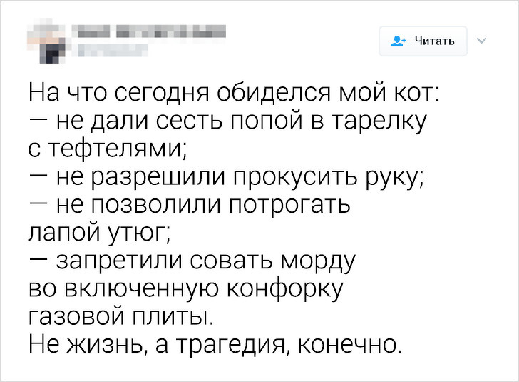20 доказів того, що маленьких образити може кожен