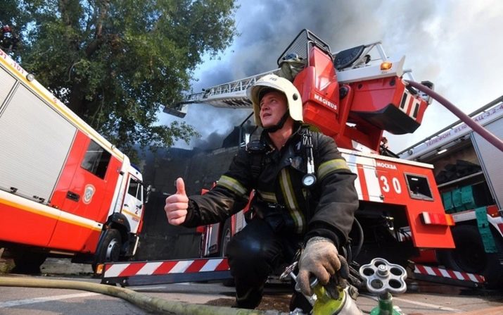 2005 – рік якої тварини? 19 фото Якогось Півня це був рік за східним календарем? Характер знаків зодіаку, народжених в цей час?