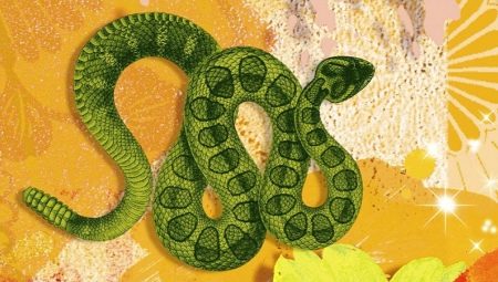 2025 – рік якої тварини? 11 фото Опис зодіаку за східним календарем. Характер жінок і чоловіків