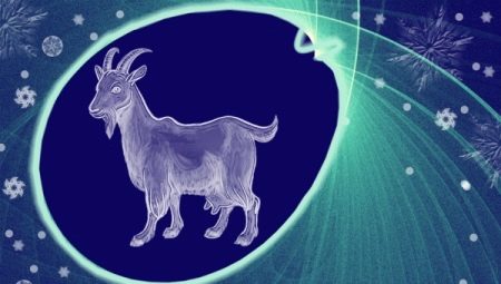 2027 – рік якої тварини? 13 фото Що характерно для представників цього року за східним календарем?