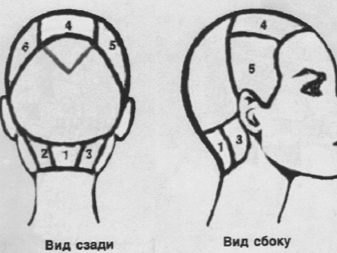 3D-фарбування волосся (49 фото): що це таке? Особливості голографічного фарбування темних і світлих, коротких і довгих волосся