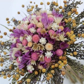 4 роки – яка це весілля? 12 фото Особливості четвертої лляної річниці спільного життя в шлюбі